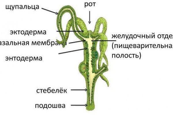 Кракен зеркало onion