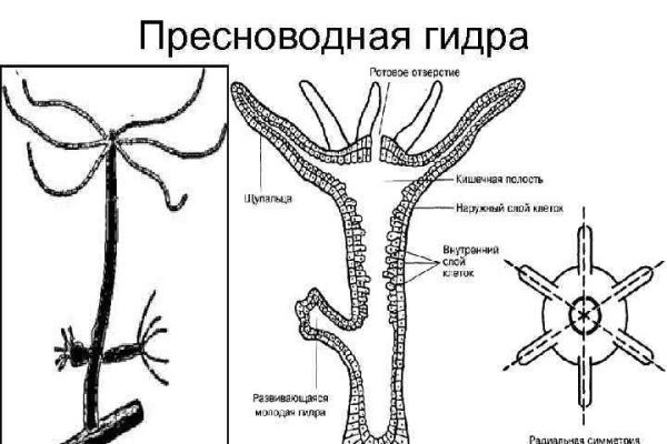 Как найти кракен шоп