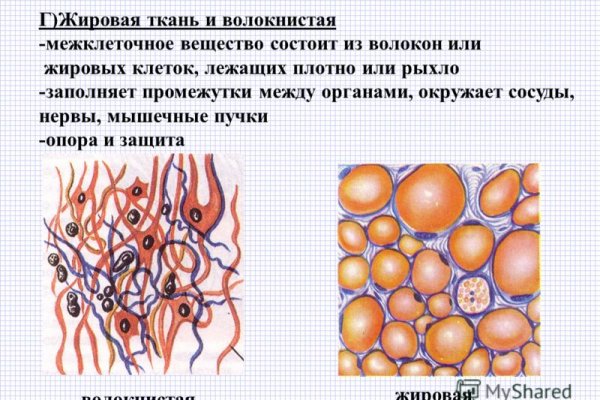 Как пополнить баланс на кракене